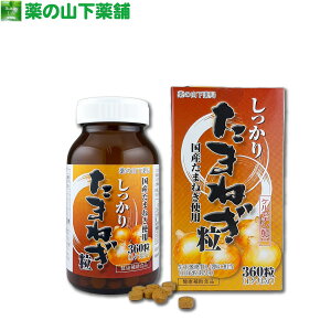 y󂠂z肽܂˂ 360 ( ʂ˂ZkGLX ^}lM|tFm[ PZ`z )y̔2025N1130܂Łz