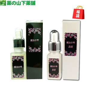 y܁z@̎{@̎DX̂ȕ܌ZbgIy̔ 11/25`1/14z