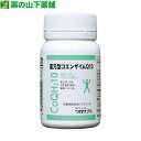 【送料無料】ワカサプリ 還元型コエンザイムQ10 60粒