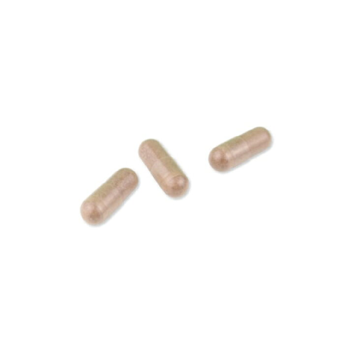 楽天市場】【送料無料】ワカサプリ 乳酸菌（EC-12) 90粒 フェカリス菌 