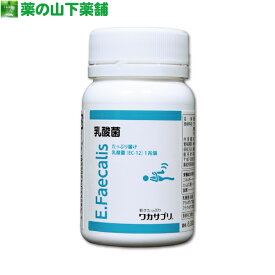 【送料無料】ワカサプリ　乳酸菌（EC-12)　90粒　フェカリス菌