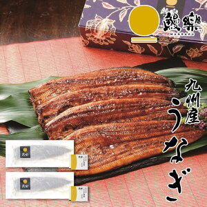 Vy BYȂ 2  Ε Ε ~Mtg  䒆 Mtg ăMtg