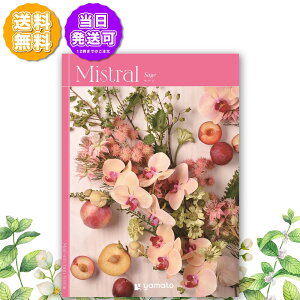 J^OMtg Mistral ~Xg Z[W 3,000~R[X j Ԃ oYj o j j Cj Cj TԂ @v  Ε LOi ii hV̓ 