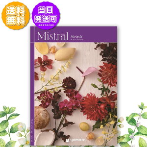 J^OMtg Mistral ~Xg }[S[h 8,000~R[X j Ԃ oYj o j j Cj Cj TԂ @v  Ε LOi ii h