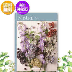 J^OMtg Mistral ~Xg }E 2,500~R[X j Ԃ oYj o j j Cj Cj TԂ @v  Ε LOi ii hV̓ 
