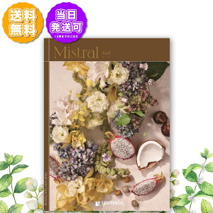 J^OMtg Mistral ~Xg [N 20,000~R[X j Ԃ oYj o j j Cj Cj TԂ @v  Ε LOi ii hV̓ 