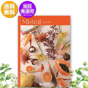 J^OMtg Mistral ~Xg o[ 5,000~R[X j Ԃ oYj o j j Cj Cj TԂ @v  Ε LOi ii hV