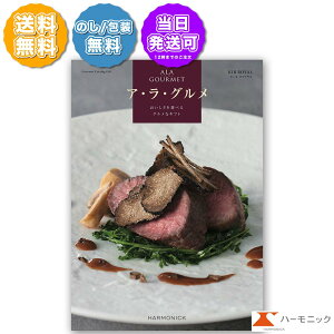 O J^OMtg AO L[C 11000~R[X n[jbN ALA GOURMET AEEO q^Cv J[h^Cv ̂  j oYj j V