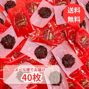 【メール便 送料無料】ポークジャーキー 美珍香 おつまみ ポークコイン 直火 ジャーキー コストコ Costco お試し 小分け 個包装 40枚入り 無添加 ギフト プレゼント