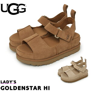 AO T_ fB[X S[fX^[ nC uE  x[W C V[Y X|[cT_ XgbvT_ uh n JWA Vv ʃt@Xi[  S 