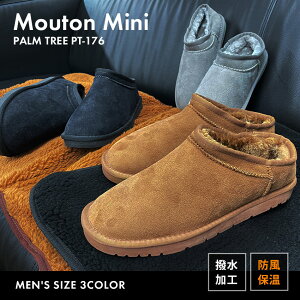 [gu[c Y ~j ubN  x[W O[ C V[Y ~bhJbg  Ȃ  h h ۉ g AEghA Xm[V[Y  PALM TREE PT-176 p[c[