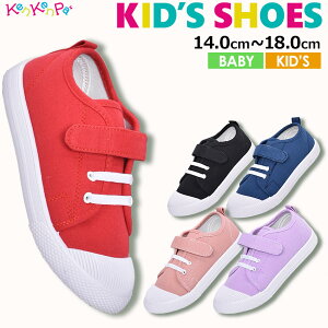 Xj[J[ xr[ LbY t@[XgV[Y ubN    C V[Y q Vv X|[c W[ v[g y ^  j̎q ̎q xg  lC 蕨 ₷