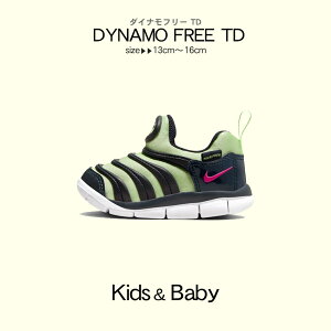 iCL Xj[J[ LbY NIKE DYNAMO FREE TD WjA q _Cit[ ubN  O[  V[Y Xb| 343938 Ki