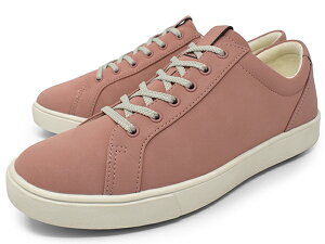 Xj[J[ fB[X Xj[J[ [Jbg ɂȂ  y 3E EEEyAcureZz10244 uh ALA[Y AVbNX d ₷ ₷   AC{[ x[