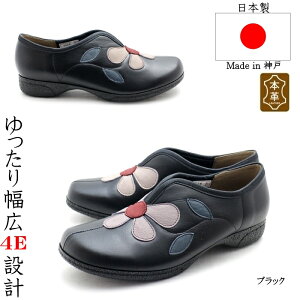 y蕝L4E݌vz{_˔{vfB[XRtH[gV[Y