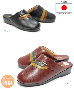 y{za Bunwa fB[X T_ wbv h hwbv ~p Ol܂