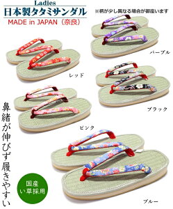 y{zfB[X   T_ ^^~T_ Ղ y a  ԉΑ ɂȂȂ@  ԕ LLTCY 24.0cm 24.5cm 25.0cm