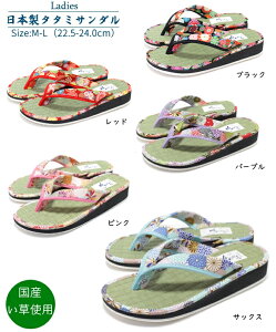 {fB[X T_  Xbp  r[`T_ @ @T_ ^^~T_ ɂOK ԕ i`J[ T_