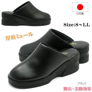 { ~[ T_ ItBXT_  hT_  d