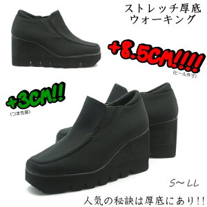 +8.5cmEH[LO g EG[u EGbW