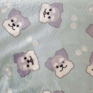  킢 {AtЂ| uPbg ѕz Q  h Q u[ O[ uE p[v sN bh CG[ O[ K `FbN Aj}  