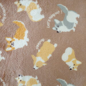  킢 {AtЂ| uPbg ѕz Q  h Q u[ O[ uE p[v sN bh CG[ O[ K `FbN Aj}  