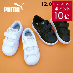 JWA [Jbg Xj[J[ PUMA xr[ v[} X}bV V2 ^bN V Xj[J[ ₷ LbY WjA xr[ ۈ牀 ct zCg ubN 12.0 16.0 ^C ʃt@Xi