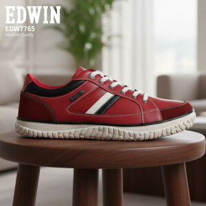 GhEB/ EDW ED 7747 ubN  bh ( EDWIN EDW7747 ED7747 )y kCAꌧ Y Xj[J[ C V[Y YV[Y YXj[J[ JWA Y ʋ E