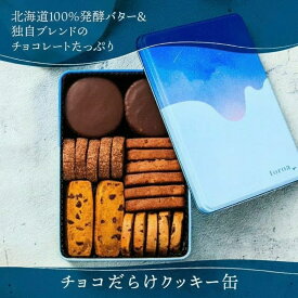 ベストお取り寄せ大賞総合1位 toroa チョコだらけクッキー缶 高級 チョコレート クッキー 詰め合わせ 焼き菓子 ギフト プレゼント チョコづくし チョコまみれ スイーツ お菓子 おしゃれ かわいい ご褒美