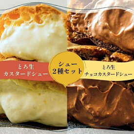 【ベストお取り寄せ大賞受賞ブランド】toroa とろ生カスタードシュー ＆ とろ生チョコカスタードシュー 6個入 ギフトBOX付 シュークリーム スイーツ ギフト 高級 個包装 洋菓子 お菓子 プレゼント お取り寄せ グルメ 出産 内祝い お祝い お礼 詰め合わせ 送料無料