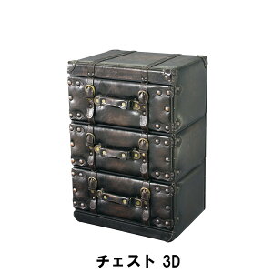 `FXg 3i 41 s31 60cm [Ƌ rO[Ƌ `FXg