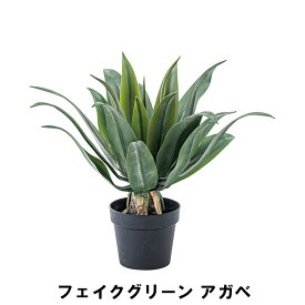 【楽天スーパーSALE10%OFF】【値下げ】フェイクグリーン アガベ 幅53 奥行53 高さ53cm 造花 人工観葉植物 ガーデン ガーデン用品