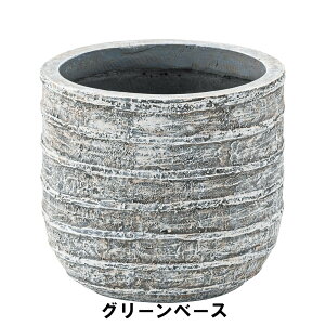 A O[x[X 25.5 s25.5 22cm K[f K[fpi Aؔ v^[