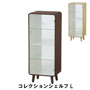 RNVVFt L 36 s26.5 89cm [Ƌ rO[Ƌ I bN