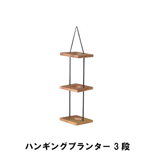 nMOv^[ 3i 20 s20 56cm K[f K[fpi Aؔ v^[