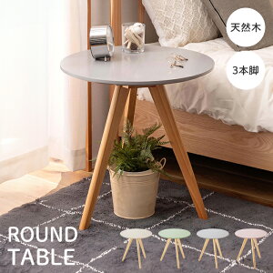 y|Cg5{ 11/21 10:00-12/05 09:59zTChe[u Ehe[u ی^ O{r 50×50cm fBXvC ݃J[  i` k 