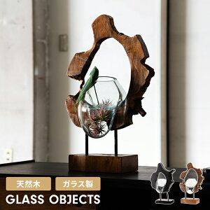 KXIuWF u VR CeA eE ANAE v^[ KX׍H G i`  A[g