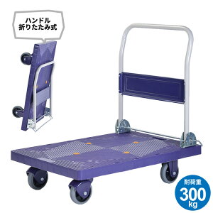  É ύڏdʁF300kg  Â y RpNg 