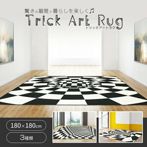yyVX[p[SALE10%OFFzO 3D gbNA[gO 2 180×180cm ` J[ybg ʔ SNS tA}bg 3 o svc