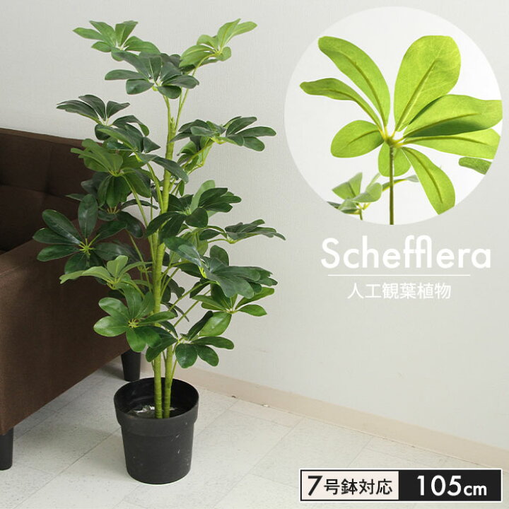 楽天市場 フェイクグリーン 人工 観葉植物 ヤドリフカノキ 高さ 1cm 7号鉢対応 人工 造花 フェイク グリーン シンプル オフィス おしゃれ 観葉 植物 鉢植え インテリア 大型 高い 大きい 室内 鉢 お手入れ 不要 間仕切り 目隠し リビング クツログ