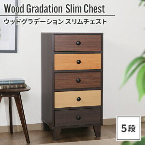 ylzylSALEz`FXg 5i 44.5×39×89cm ؐ [ I    D 邢 c o IW Of[V q 