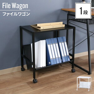 bN LX^[ 1i t@CS 55×37×58cm {I  zCg [ X t@CbN ΂ X o₷  A4