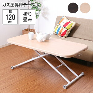 ylSALEze[u ~ Ch L  V 120×60 ؖڒ fXN  ` p\RfXN ׋ teBOe[u KX