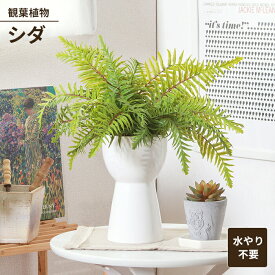 【値下げSALE】フェイクグリーン 観葉植物 人工観葉植物 シダ セラミックポット 卓上 インテリアガーデン お手入れ不要 おしゃれ 人工植物