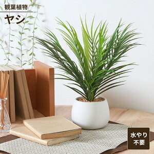 【値下げSALE】フェイクグリーン 観葉植物 人工観葉植物 ヤシ セラミックポット 卓上 インテリアガーデン お手入れ不要 おしゃれ 人工植物