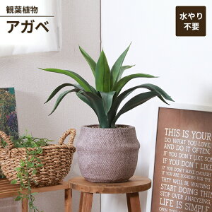 【値下げSALE】人工観葉植物 フェイクグリーン 観葉植物 アガベ セメントポット 卓上 インテリアガーデン 手入れ不要 おしゃれ 人工植物
