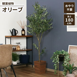ylSALEztFCNO[ ϗtA lHϗtA 180 I[u WCg CeAK[f sv ^ 傫 