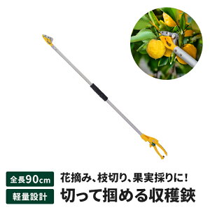 yyVX[p[SALE10%OFFz}؂oT~ 90cm }؂ ͂ Lb`@\ |nT~ \n }؂ ʎ̂ | _