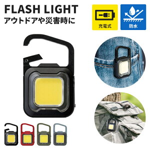 コンパクトライト USB 充電式 ミニライト フラッシュライト 明るさ3段階 懐中電灯 小型 LED ライト IP65 防雨