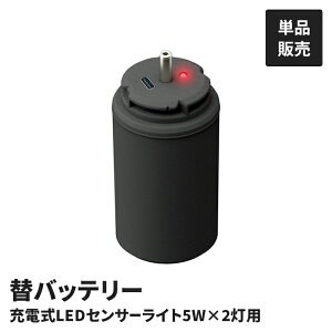 5W 2 [dZT[Cgp E փobe[ Pi LED-RC820p 3.6V 3600mAh USB [d